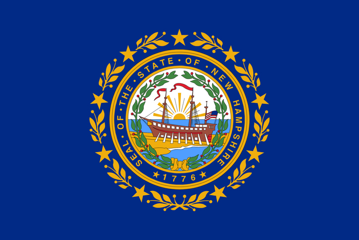 New Hampshire flag
